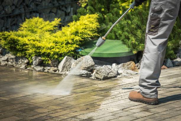 Best Pool Deck Cleaning  in Hammonton, NJ
